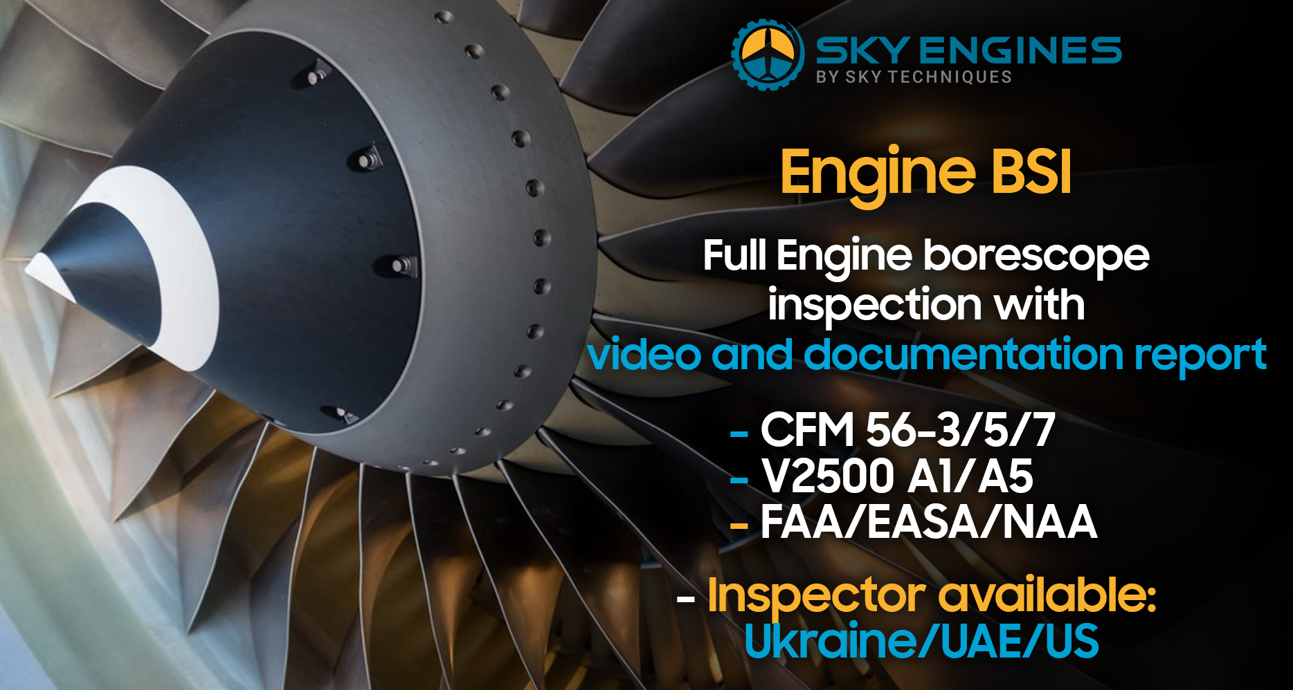 Sky Engine Articles Engine Borescope Inspection